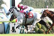 【京都大賞典】７歳牝馬スマートレイアーが重賞４勝目