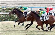 【３歳新馬】京都６Ｒ　スズカテイオーが２番手から押し切る