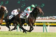 【ドバイＷＣデー諸競走】日本馬１４頭が現地に到着