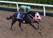 【チャンピオン】連闘アポロは坂路で馬なり５６秒３