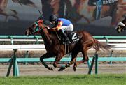 【黄梅賞】６番人気の牝馬レノーアがイン突き２勝目挙げる