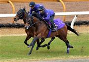 ワグネリアン＆マカヒキ、友道厩舎の日本ダービー馬が初競演
