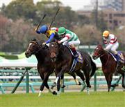 【日本ダービー】無敗の二冠馬誕生なるか！サートゥルナーリア３枠６番　枠順確定