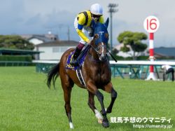 【ROBOTIPの勝率予測】日本ダービー2023　競走馬能力重視予測からの馬券対象馬は4頭に絞られた！
