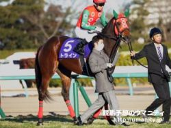 【馬場の有利不利、教えます！】東京新聞杯2021　枠順の大きな偏りはなし！速い上がりを出せる馬が優位！