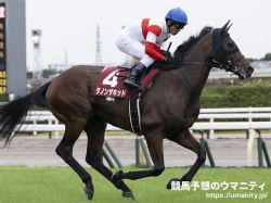 【香港チャンピオンズデー2023】日本馬の近況（4月25日（火曜））