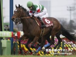 【格言から探る勝ち馬予想】日本ダービー2023「ダービーはダービーポジションをとれる馬」