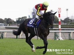 【ブリーダーズカップターフ2023】日本馬の近況（10月31日（火曜））