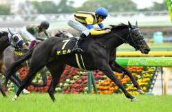 【血統アナリシス】阪神牝馬ステークス2021　過去5年でディープインパクト産駒が4勝、二桁人気馬の激走も続く