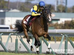 【クイーンエリザベスⅡＣ2024】日本馬の近況（4月27日（土曜））
