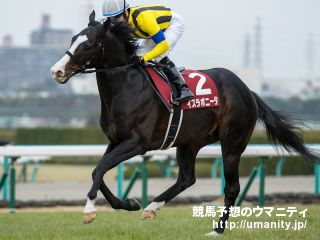 １８日美浦でＫオークス馬ラブリーマリアの半妹など１２頭の２歳馬がゲート合格