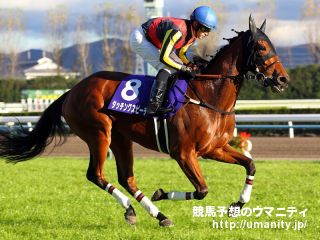 １７日美浦でユキチャンの娘など３頭の２歳馬がゲート合格
