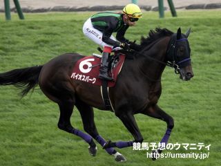 ２６日美浦で２１頭の２歳馬がゲート合格