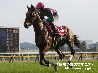 １４日美浦で２３頭の２歳馬がゲート合格