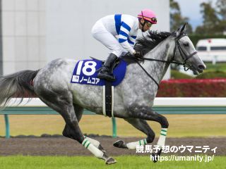 【香港カップ】ノームコアが日本の牝馬の底力示す！