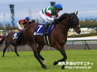 ３０日美浦で米ＧⅠ勝ちインクルードベティの息子など３４頭の２歳馬がゲート合格