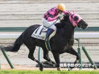 【中山新春ＪＳ】スマートアペックスが７馬身差の圧勝