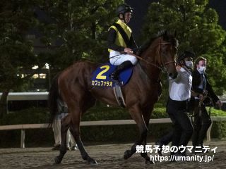 １２・１３香港国際競走に登録した日本馬を発表