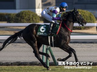【白梅賞】カワキタレブリーが新馬Ｖ以来の２勝目