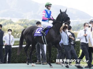 【京都牝馬Ｓ】武豊騎手のウォーターナビレラは１４着に大敗「本来の感じではなかった」
