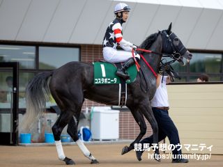 【中山牝馬Ｓ】１週前追い　コスタボニータは初コンビの西村淳也騎手を背に坂路で併せ馬