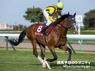 【有名人の予想に乗ろう！】香港ヴァーズ2023　日本調教馬の3年連続制覇なるか！あの人の見解は！？