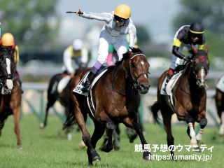 【京都記念】ダービー馬の７５年ぶり勝利か、有馬記念馬の４８年ぶりＶか　実力馬激突の一戦の注目点