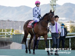 香港国際競走にリバティアイランド、ドウデュースなど日本馬６８頭が登録
