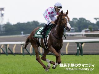 【東京新聞杯】マテンロウスカイは坂路で力強い身のこなし　松永師「帰厩してからは順調」　