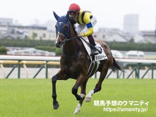 ２０日美浦で１９頭の２歳馬がゲート合格