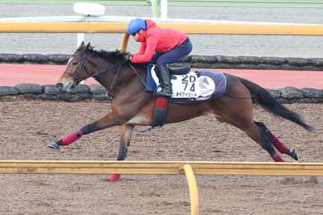 【京都牝馬Ｓ】１週前追い　メイケイエールは池添謙一騎手を背に軽快「うまくコントロールが利いた」