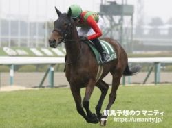【血統アナリシス】京都牝馬Ｓ2024　異彩を放つマンハッタンカフェ、複穴傾向にあるKrisの血脈にも要注意