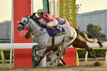 東京大賞典４連覇のオメガパフュームが引退　レックススタッドで種牡馬入り