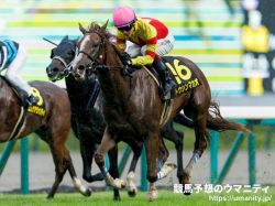 【ROBOTIPの勝率予測】京阪杯2022　競走馬重視予測は3歳馬トウシンマカオを中心視