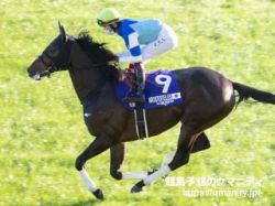 【血統アナリシス】京都大賞典2022　代替開催された昨年はディープインパクトの血を引く馬が上位を独占