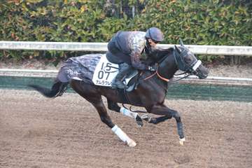 【京都牝馬Ｓ】ナムラクレア豪快なフォーム　坂路馬なりでラスト１１秒６と鋭い伸び