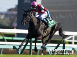 【重賞データ分析】福島牝馬S2022　アブレイズをトップに、計5頭が連対条件4項目をすべてクリア