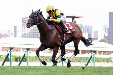 【香港国際競走】日本馬１４頭が参戦　プログノーシスＧＩ初制覇へ出陣