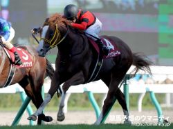 【逃げ馬の作る展開から勝ち馬を見極める】札幌記念2023　ジャックドールの連覇なるか？スーパーG2に実力馬集結！