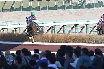 【京都ジャンプ】ホッコーメヴィウスが７馬身差逃げ切りで重賞３勝目！