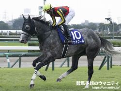 【チェアマンズスプリントプライズ2024】日本馬の近況（4月26日（金曜））