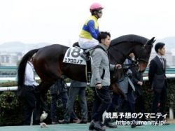 【血統アナリシス】京都金杯2022　昨年はノーザンテーストまたはトニービンの血を引く馬で上位を独占