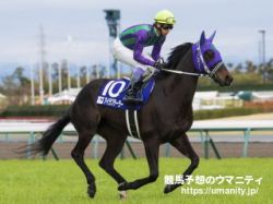 【血統アナリシス】京都牝馬ステークス2021　阪神牝馬SではNijinskyの血を引く馬がリピーターとして活躍