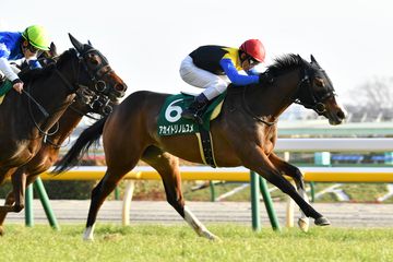 【阪神牝馬Ｓ】レース展望