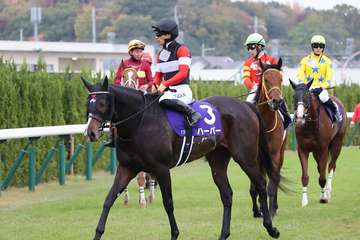 エリザベス女王杯３着のハーパーは岩田望来騎手との新コンビで有馬記念へ