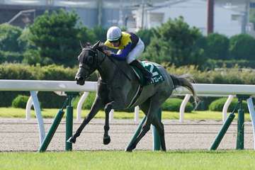 マリアエレーナが引退、繁殖牝馬に　２０２２年の小倉記念を制覇