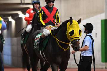 【新潟記念】３歳馬フェーングロッテンが３着　松若騎手「先が楽しみ」