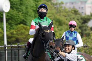 【函館ＳＳ】ジュビリーヘッドは２年連続の２着　西村淳也騎手「勝ち馬が強かったです」
