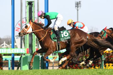 【福島牝馬Ｓ】クリノプレミアムが重賞２勝目へ