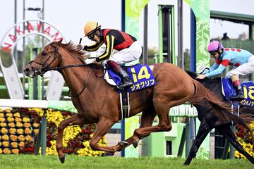 【日本ダービー】３歳馬７５２２頭の頂点を決める“競馬の祭典”の注目点